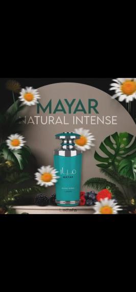 Mayar Natural Intense04